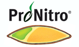 ProNitro® – DLF's super-efficient new pelleted N seed coating